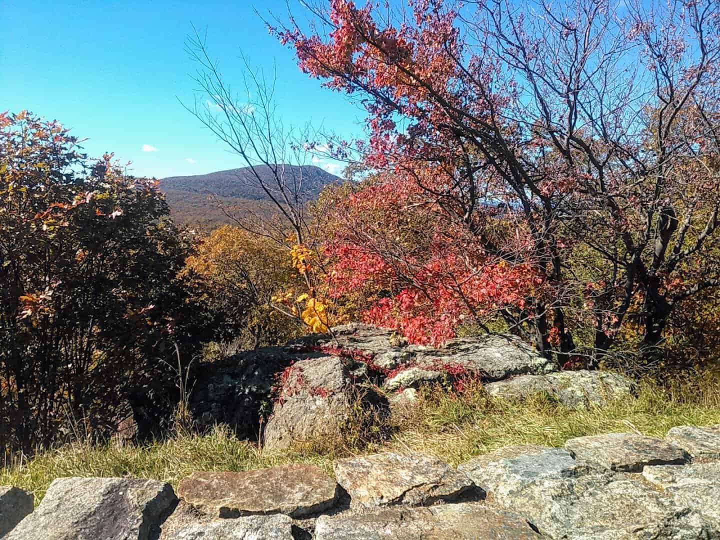 Fall foliage over the Blue Ridge from Range View Overlook, Shenandoah National Park, Virginia