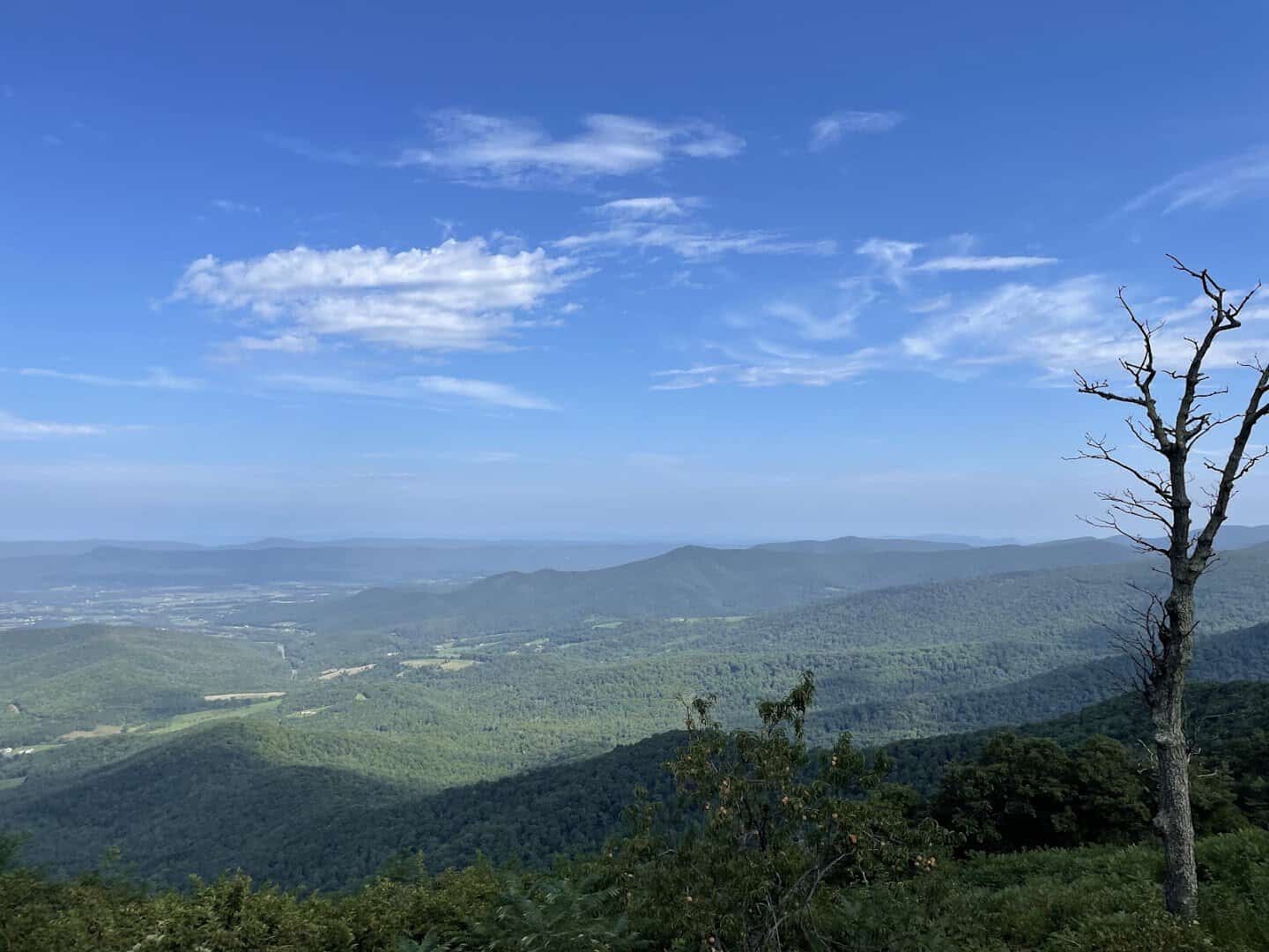 Shenandoah Valley overlook from Skyline Drive in Shenandoah National Park, Virginia