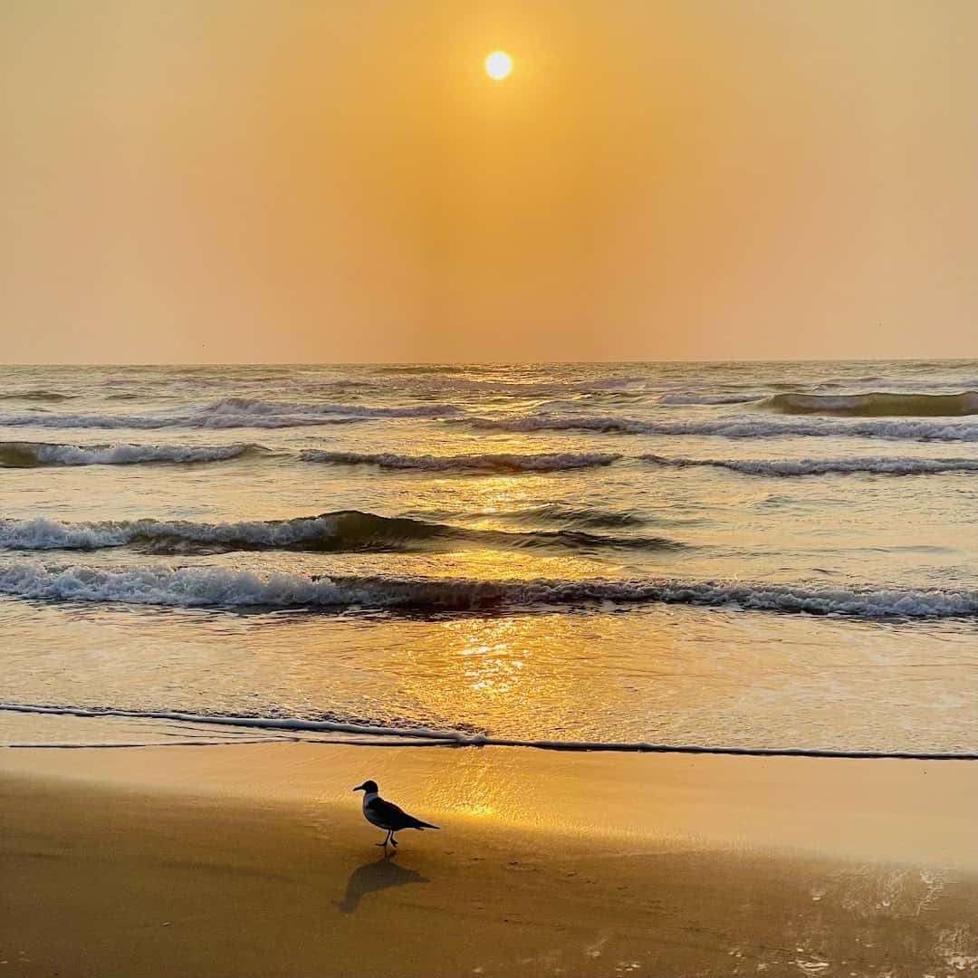 Sunset over the Gulf on a quiet South Padre Island beach
