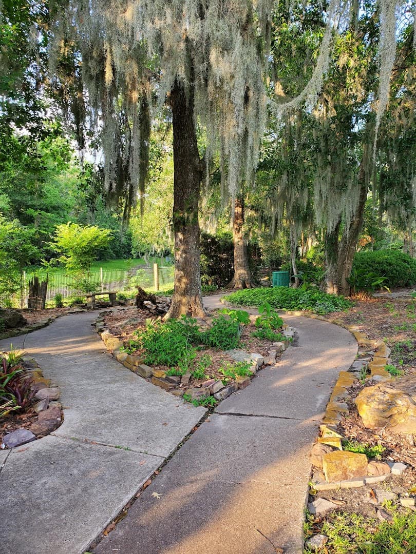 Shaded path under Spanish moss trees at Beaumont Botanical Gardens