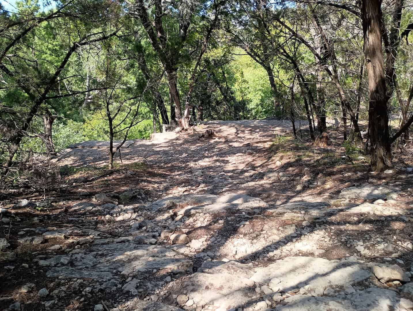 A rocky trail through the woods at St. Edward's Park in Austin