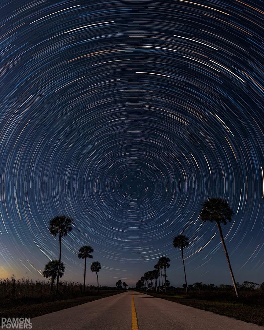 Star trails over a palm-lined road at Big Cypress National Preserve, Florida