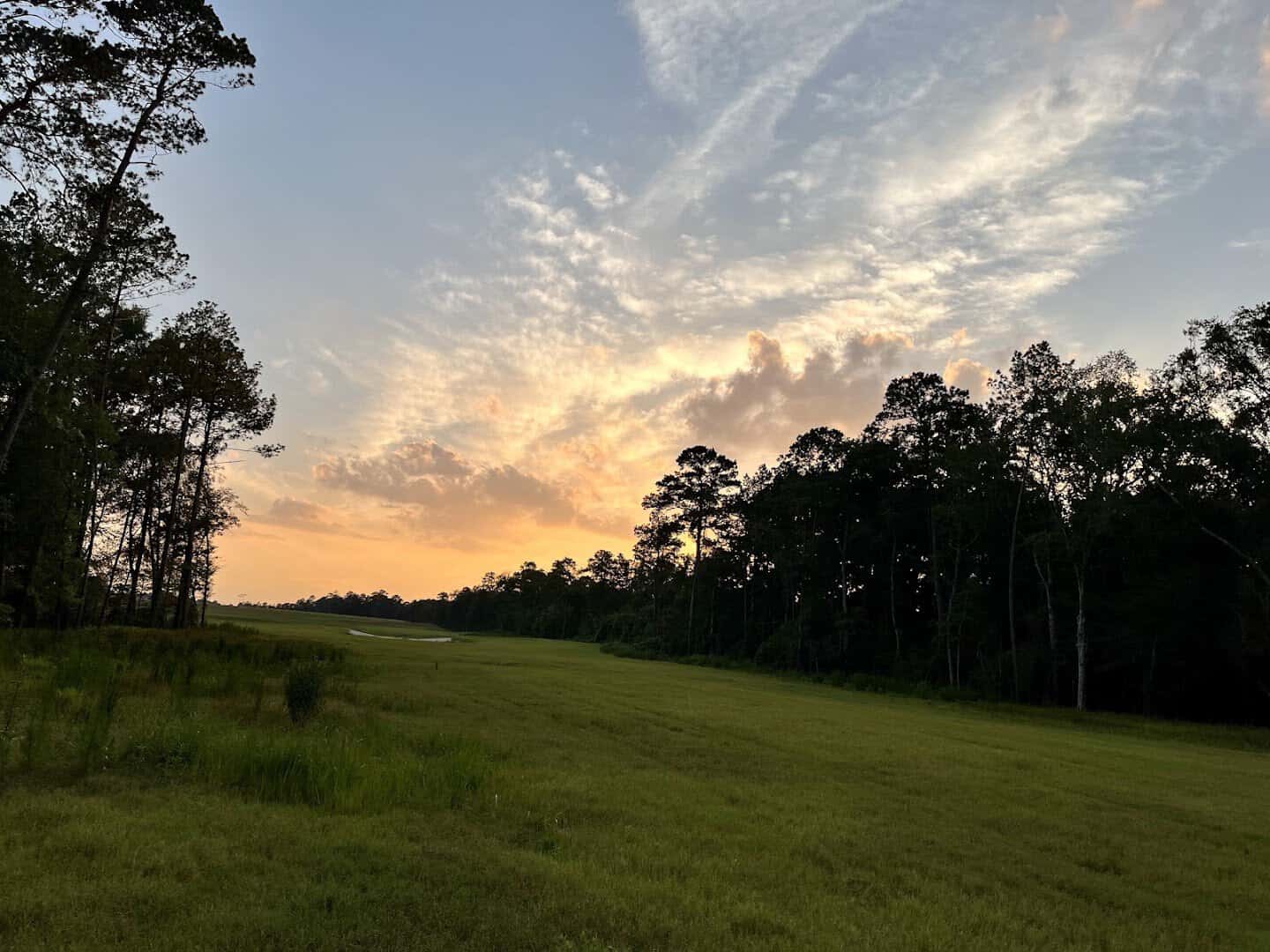 Sunset over the meadows and trees of Spring Creek Greenway