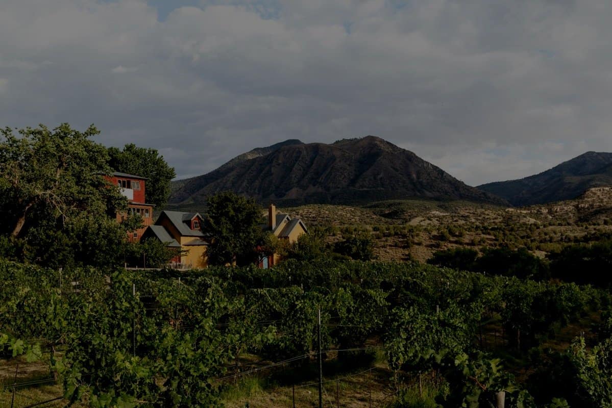 Vineyard and canyon mountain view at Sutcliffe Vineyards in Cortez, Colorado