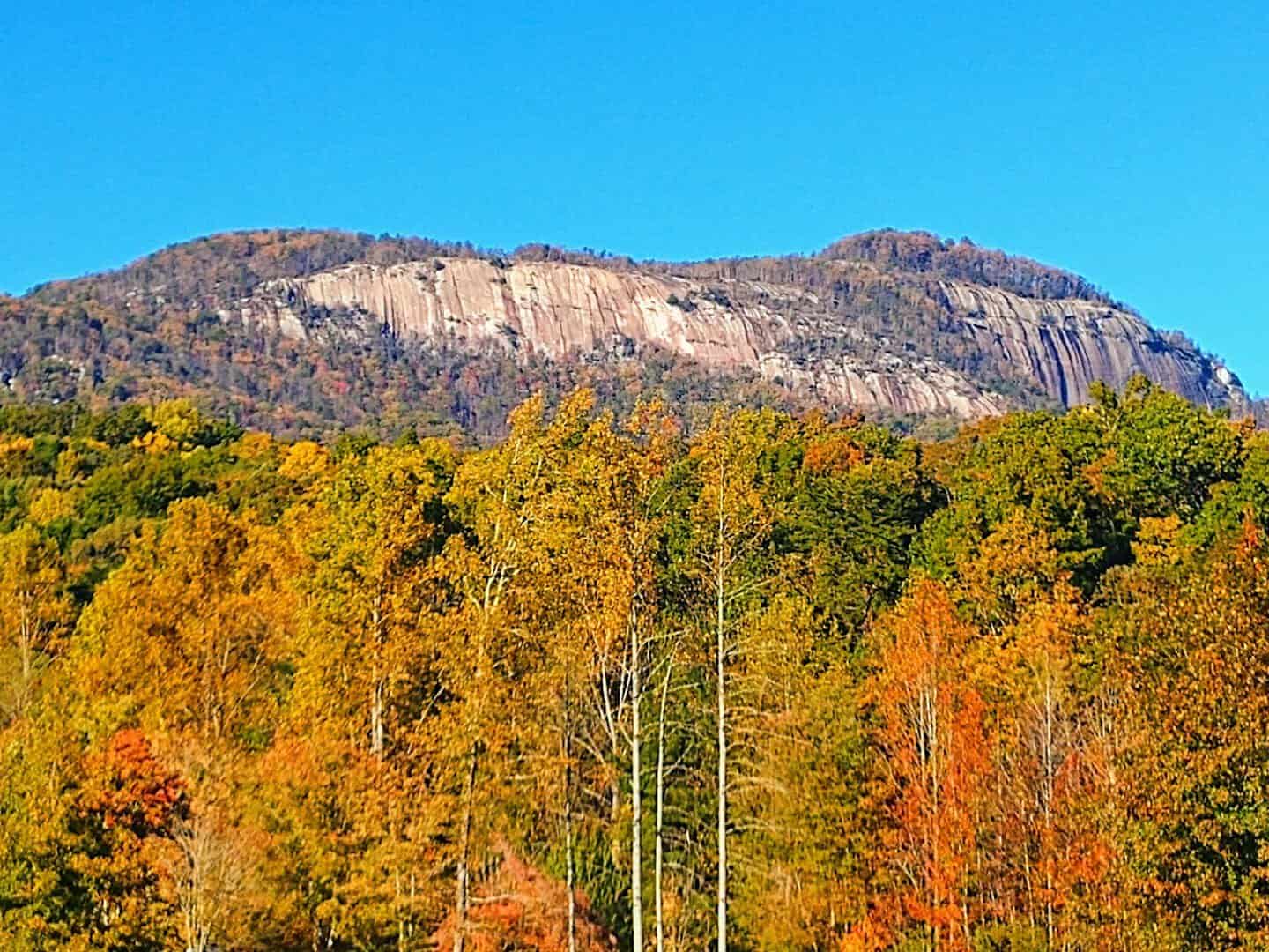 Table Rock Mountain above golden fall trees at Table Rock State Park, South Carolina