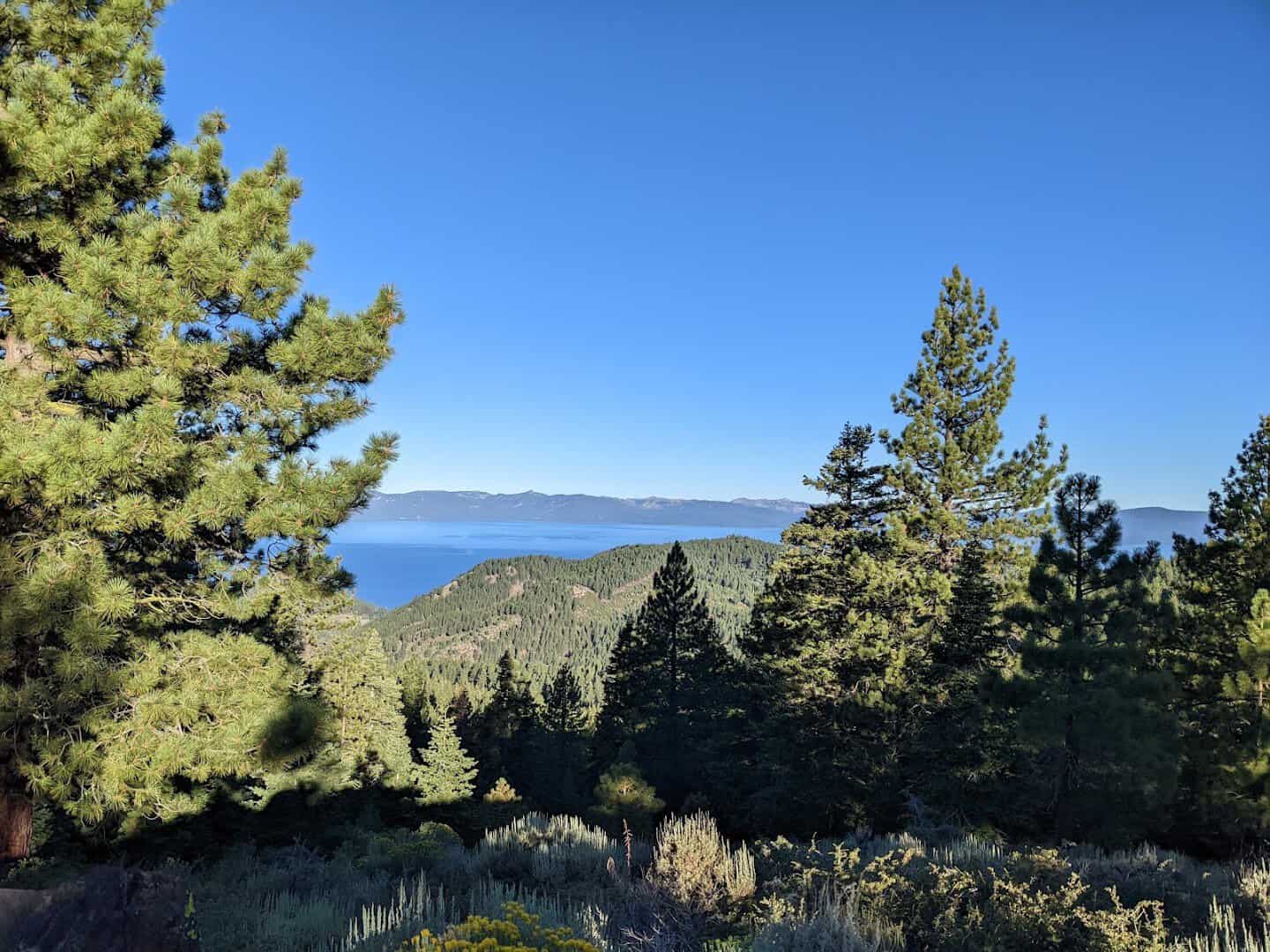 Tahoe Rim Trail ridgeline with Lake Tahoe far below through the pines