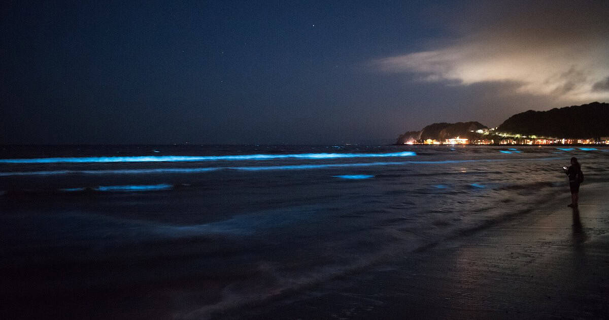 This Magical Texas Coastline Glows Electric Blue After Dark