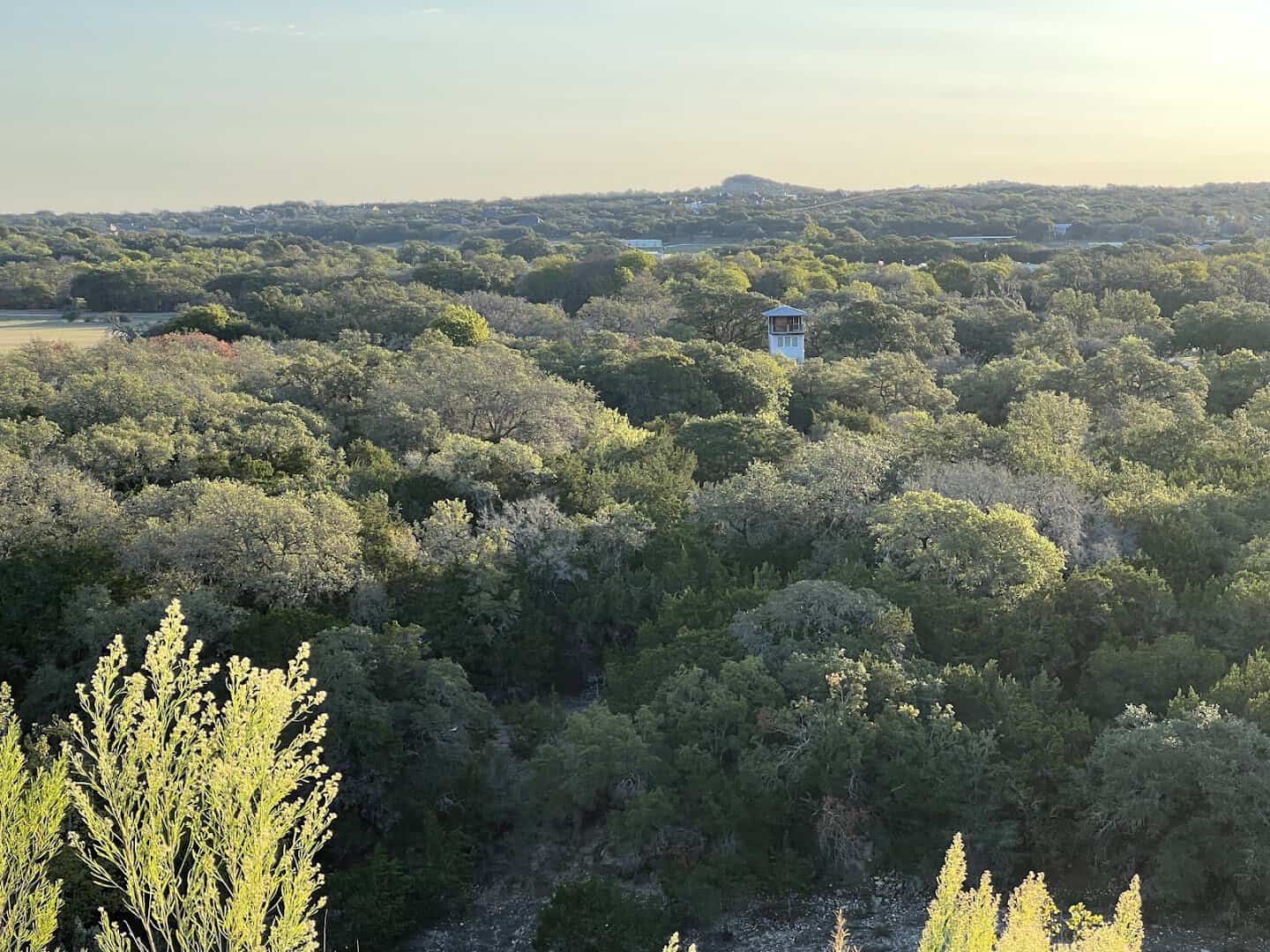 Texas Hill Country landscape near Boerne, Texas