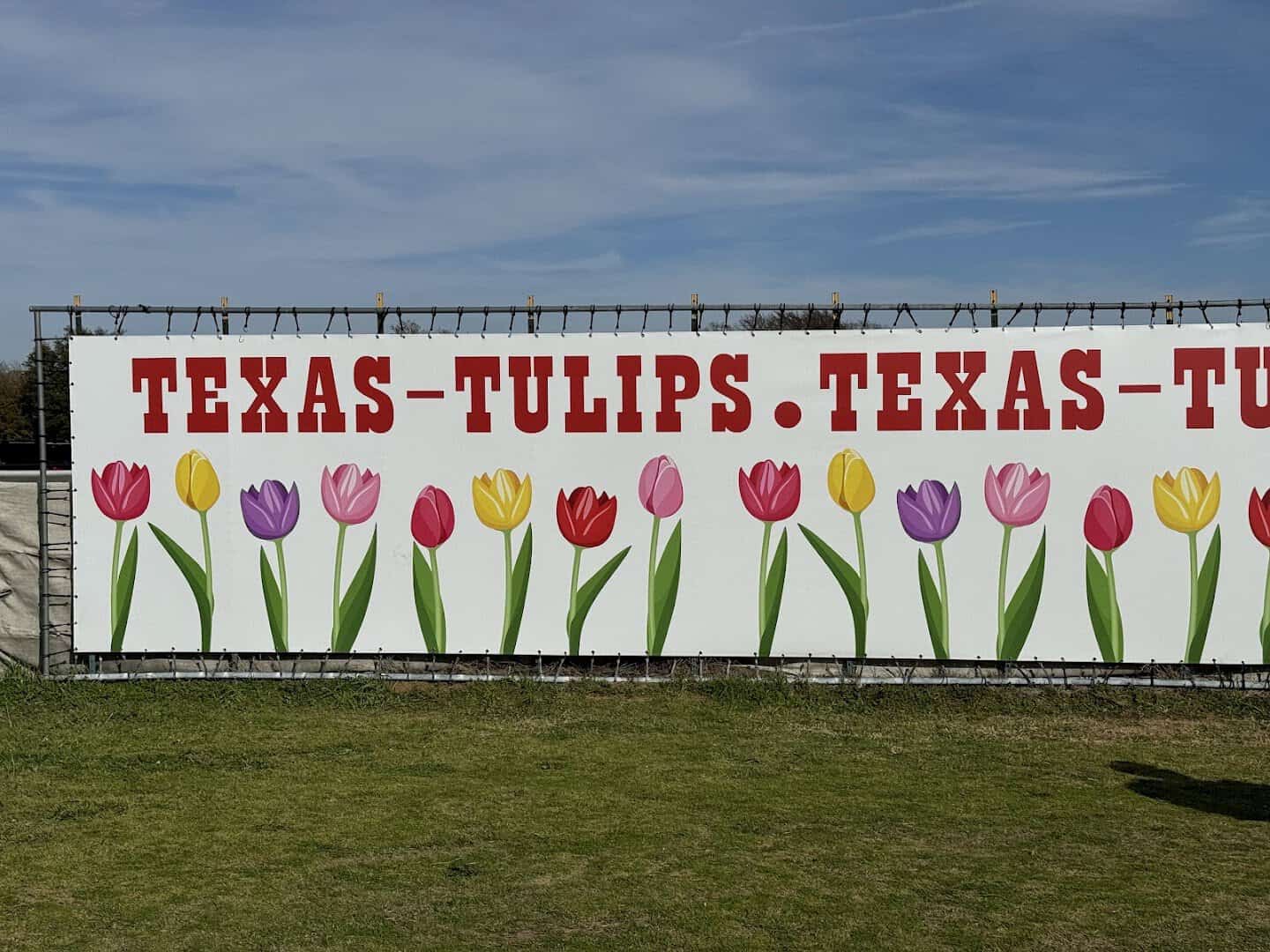 Painted Texas-Tulips sign with tulip artwork beside the field in Pilot Point