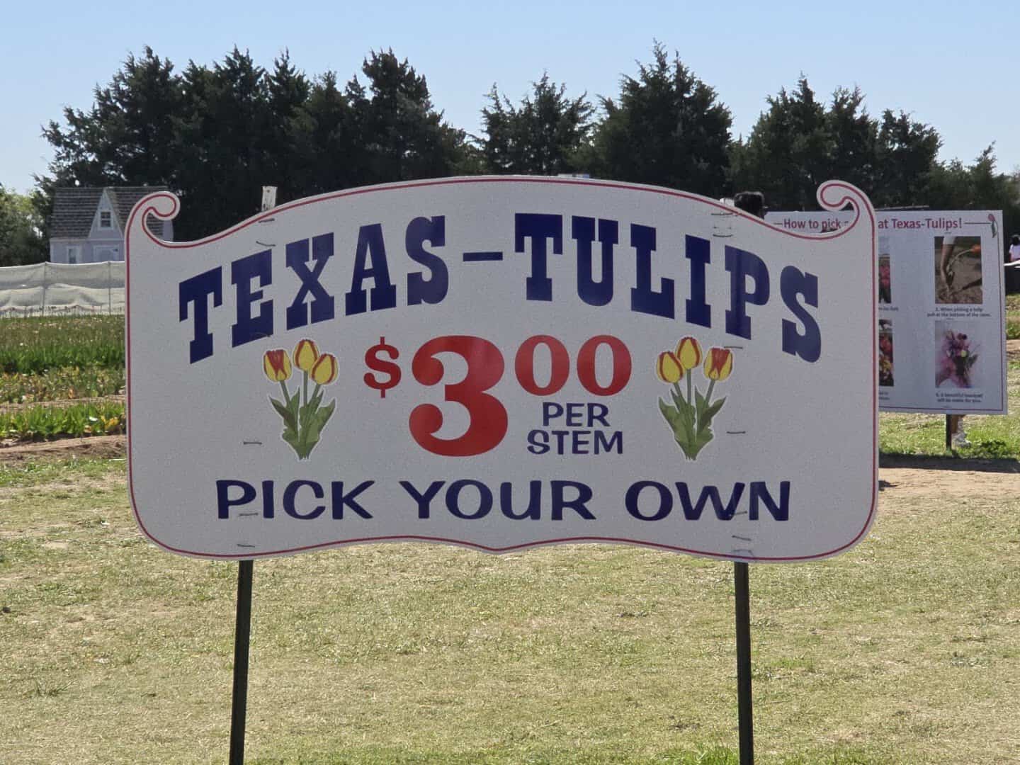 Texas-Tulips pick your own sign showing the price per stem in Pilot Point