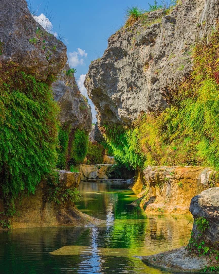 Turquoise spring-fed pool below a small waterfall in a fern-lined limestone canyon at The Narrows on the Blanco River, Texas