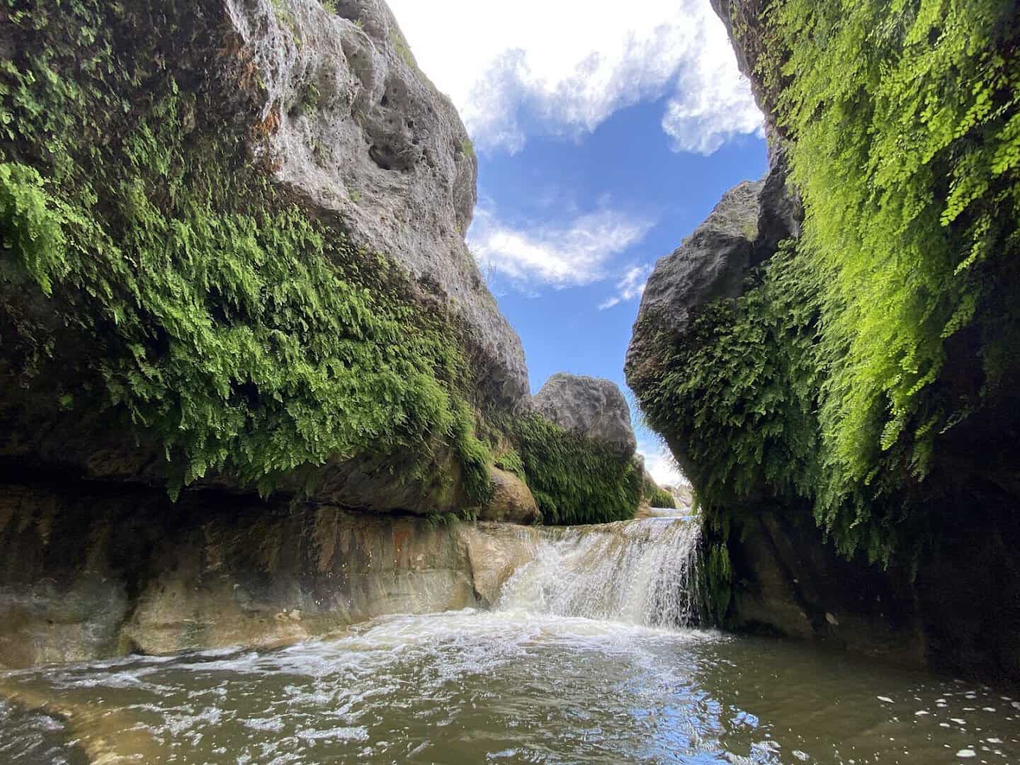 Narrow slot canyon walls draped in ferns above a waterfall at The Narrows on the Blanco River, Texas
