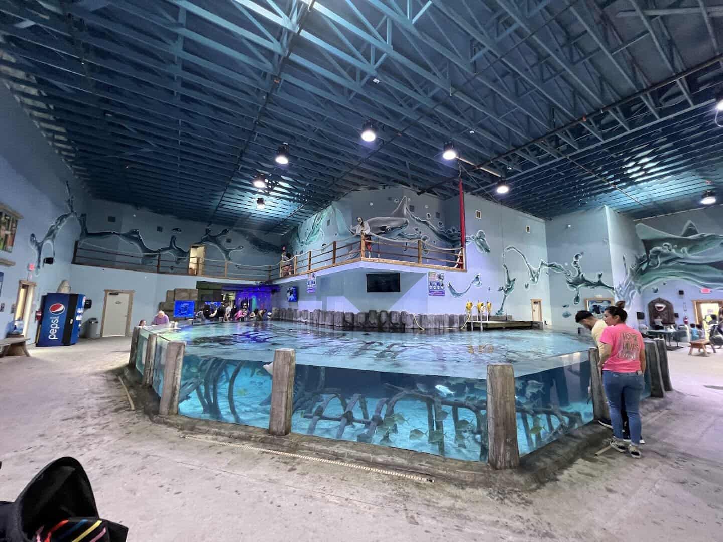 The central touch pool tank inside the Houston Interactive Aquarium and Animal Preserve