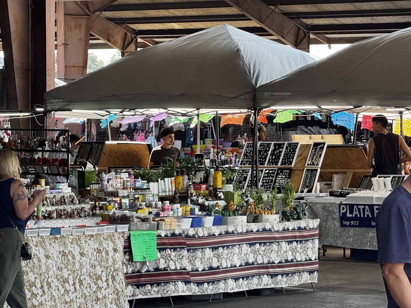 Vendor stall of silver jewelry and plants at Traders Village in Grand Prairie, Texas