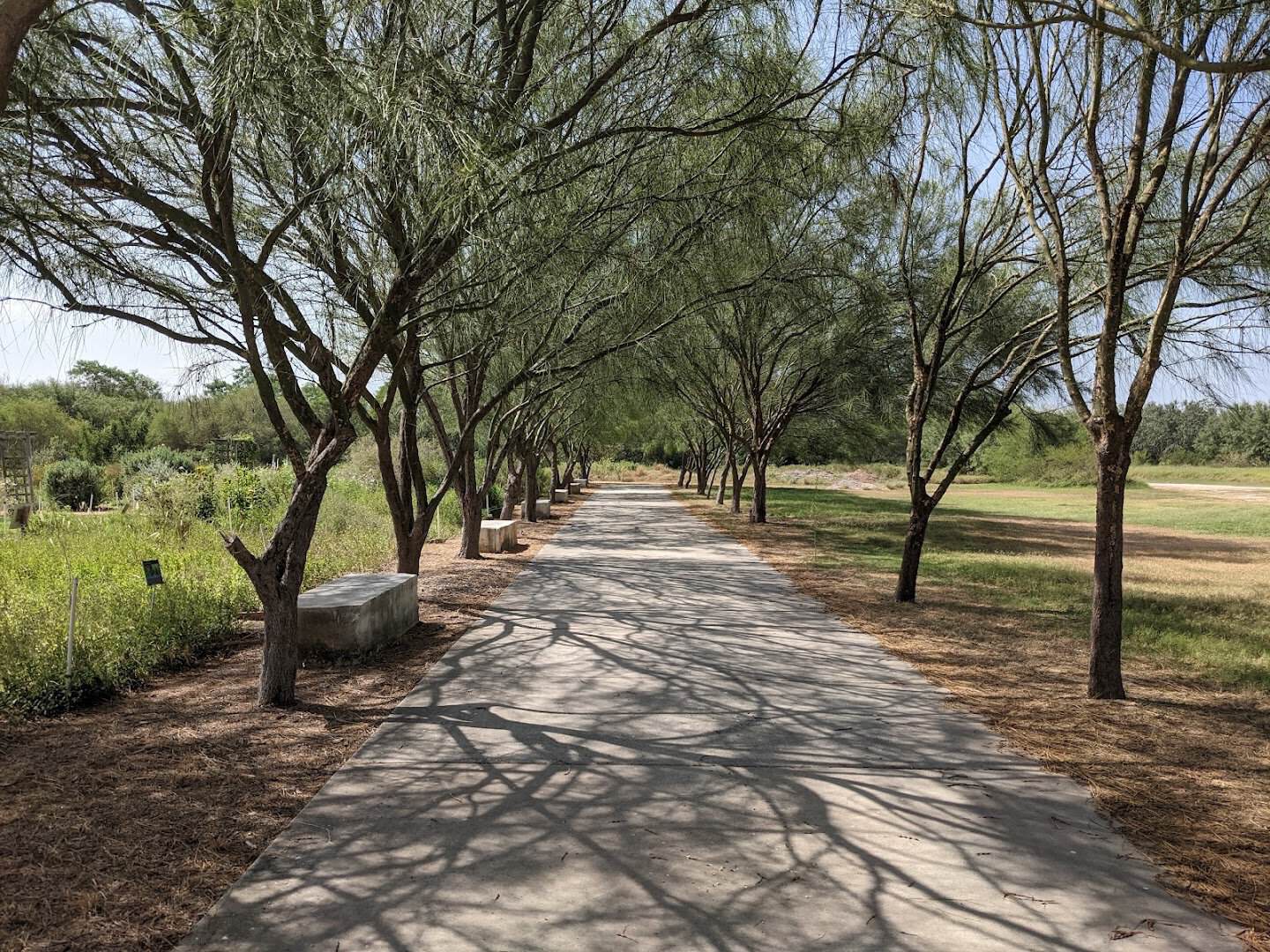 Tree-lined walking trail through the National Butterfly Center preserve in Mission, Texas