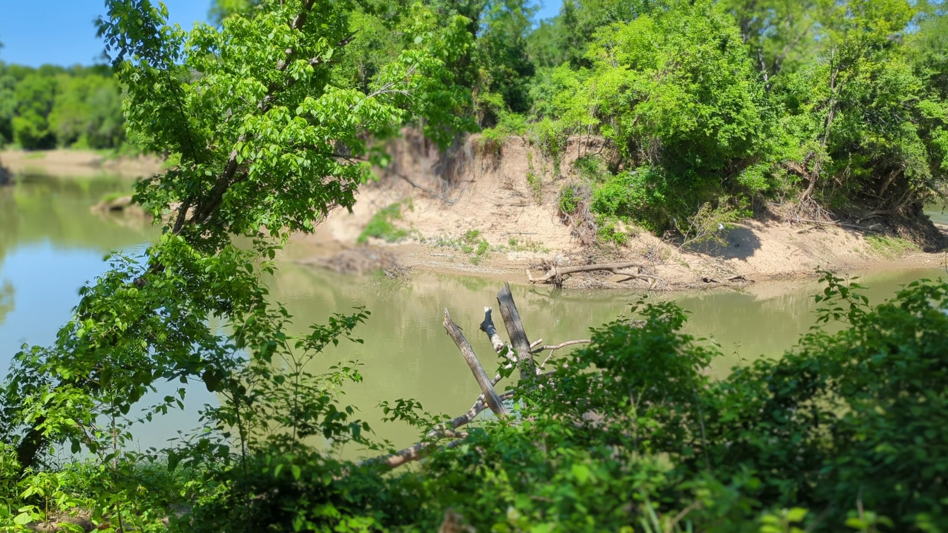 The Trinity River lined with trees at River Legacy Park in Arlington