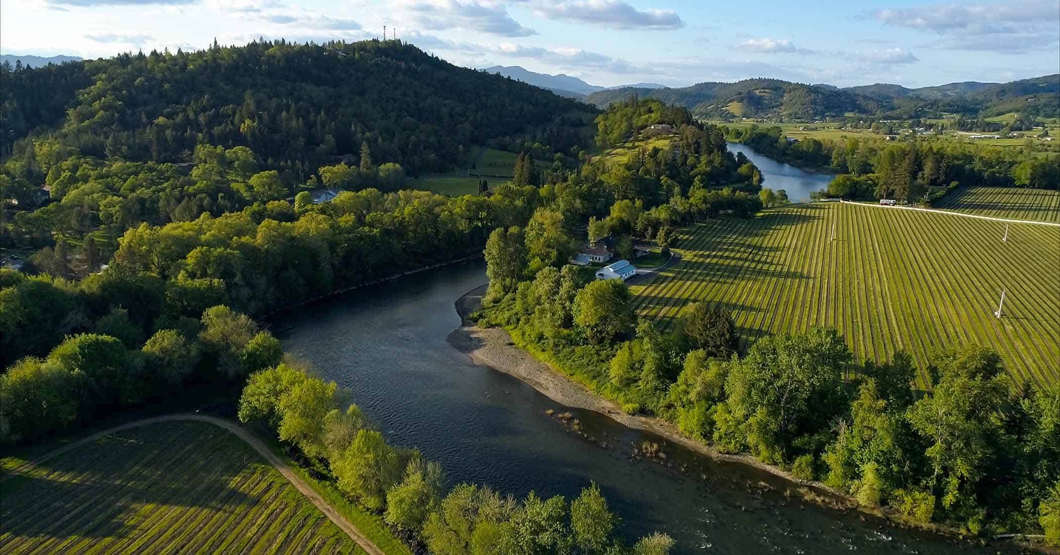Vineyards along the Umpqua River valley near Roseburg, Oregon