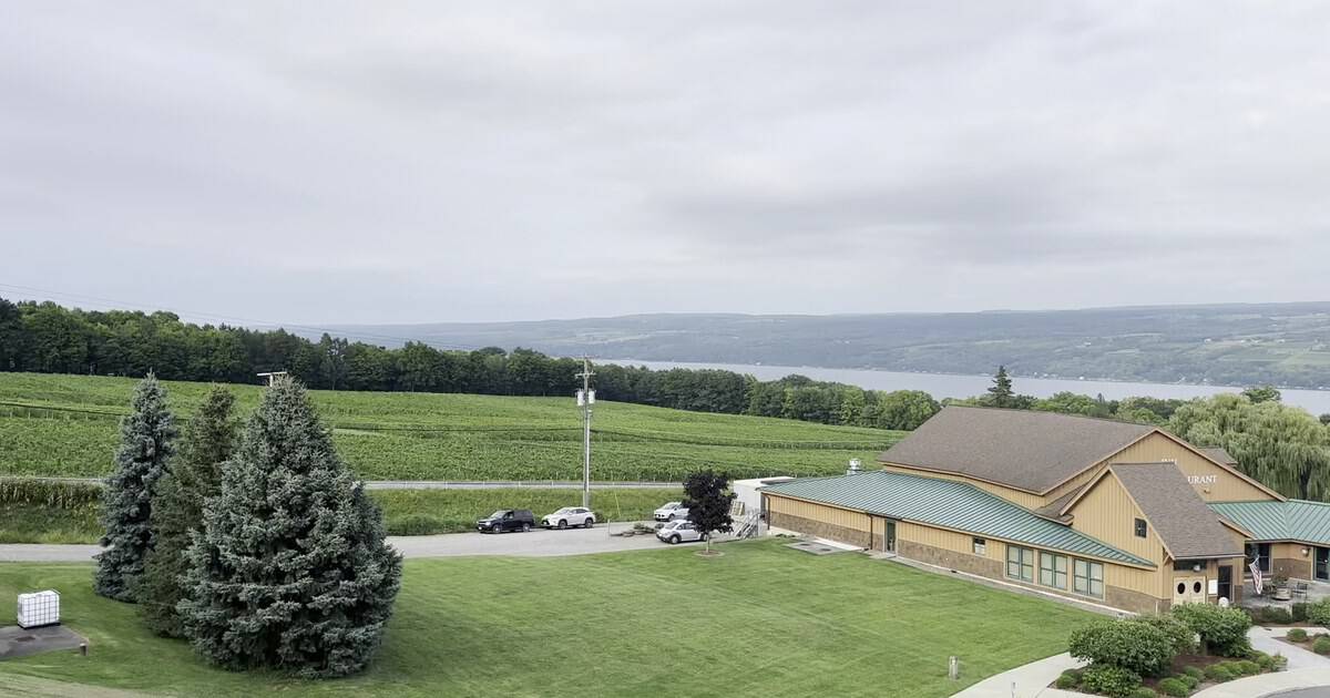 11 Overlooked Wine Regions That Serious Wine Lovers Keep Quiet About