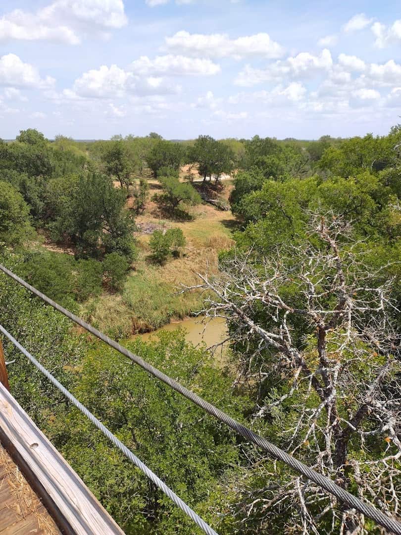 View through the suspension cables of the Regency Bridge over the Texas Hill Country