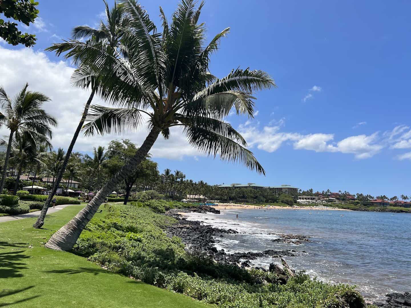 Palms, green lawn and blue ocean at Wailea Beach, Maui, Hawaii