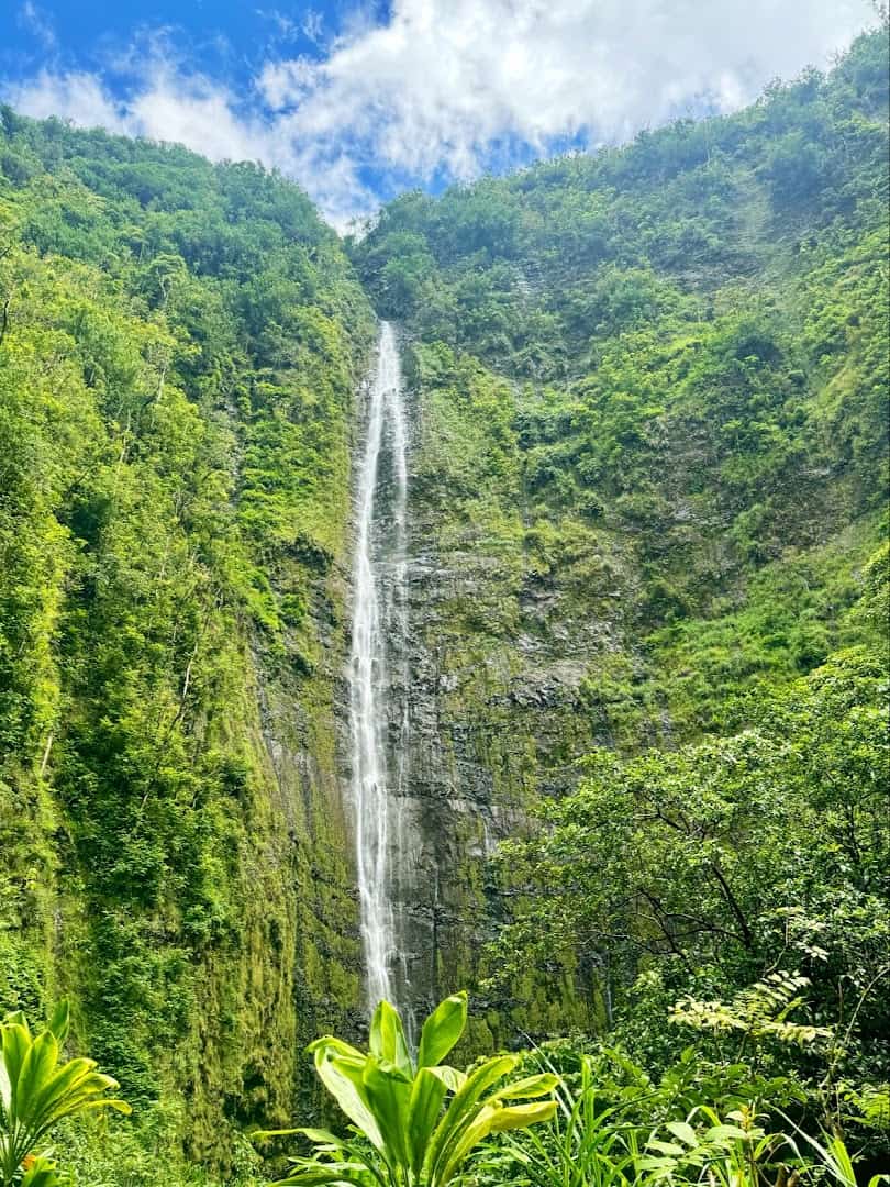 Waimoku Falls dropping down a mossy cliff, Haleakala National Park, Maui, Hawaii