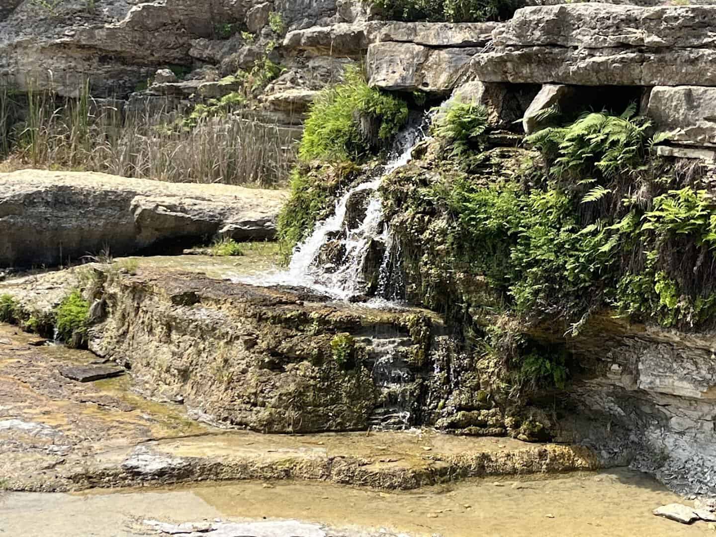 Small waterfall spilling over fern covered limestone ledges in Canyon Lake Gorge