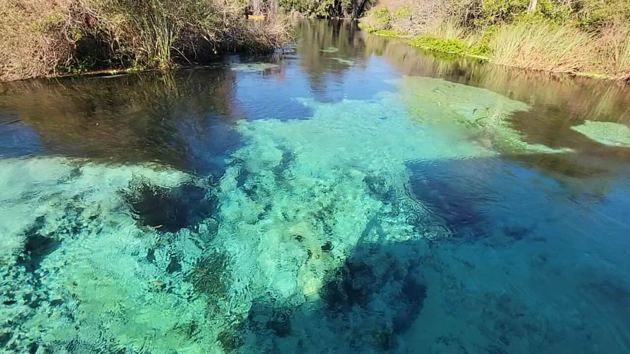 Crystal-clear water of the natural spring at Weeki Wachee Springs, Florida