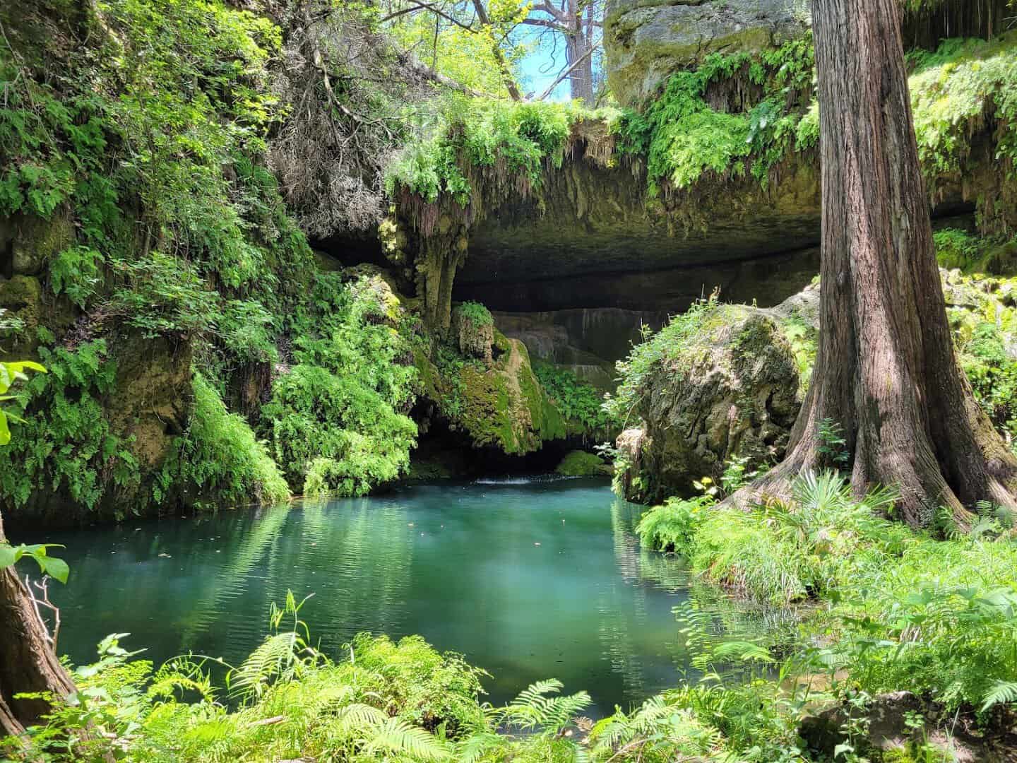 Waterfall and emerald grotto pool at Westcave Preserve near Round Mountain, Texas