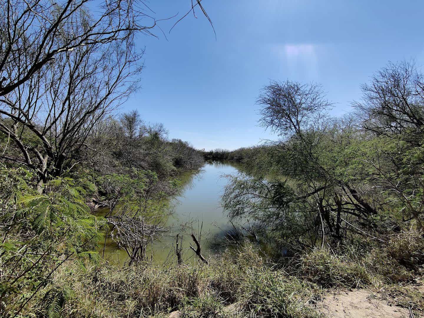 Wetland pond ringed with reeds at Edinburg Scenic Wetlands in Edinburg, Texas