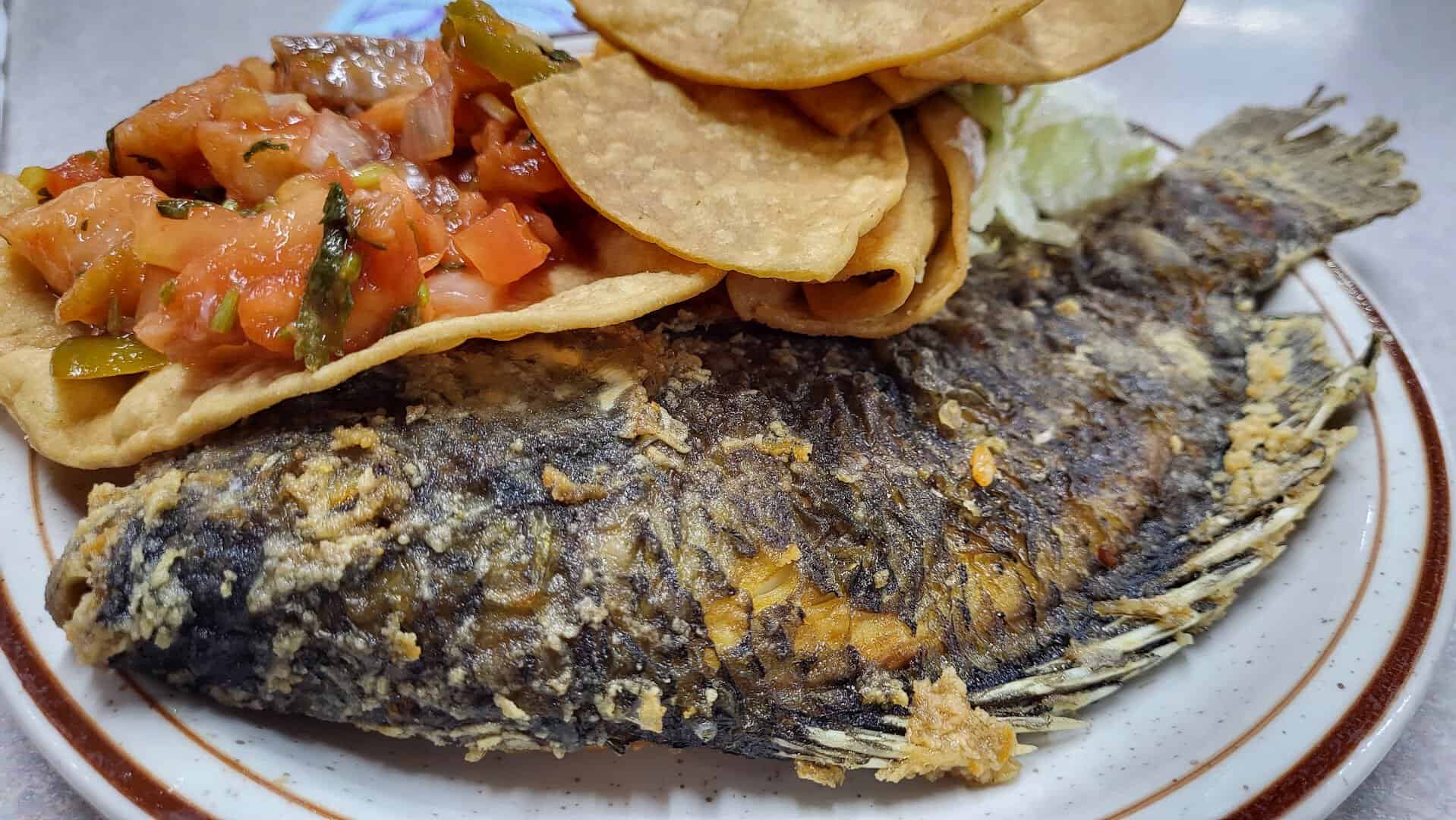 Whole fried mojarra tilapia with tostadas at Ranchero King Buffet in Houston