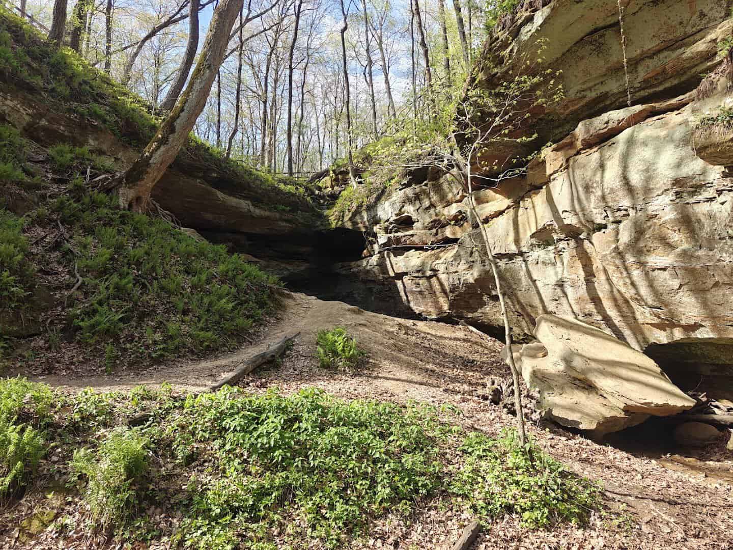 Sandstone cliffs along the trail at Wildcat Den State Park, Iowa