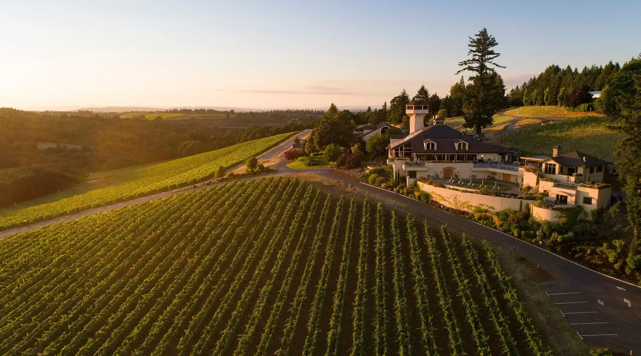 Willamette Valley Vineyards hilltop estate and vineyard near Turner, Oregon