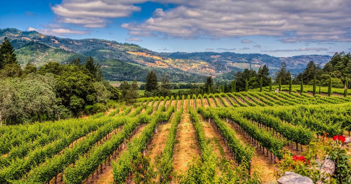 10 Wine Country Getaways That Couples Quietly Save for Date Night