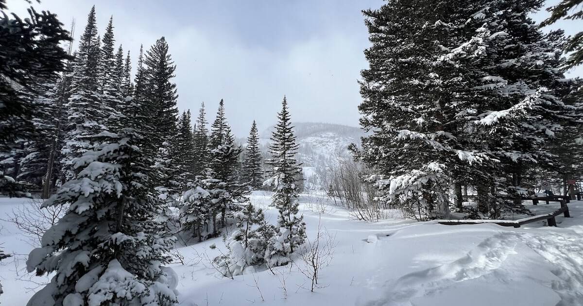 5 Magical Winter National Parks Across America