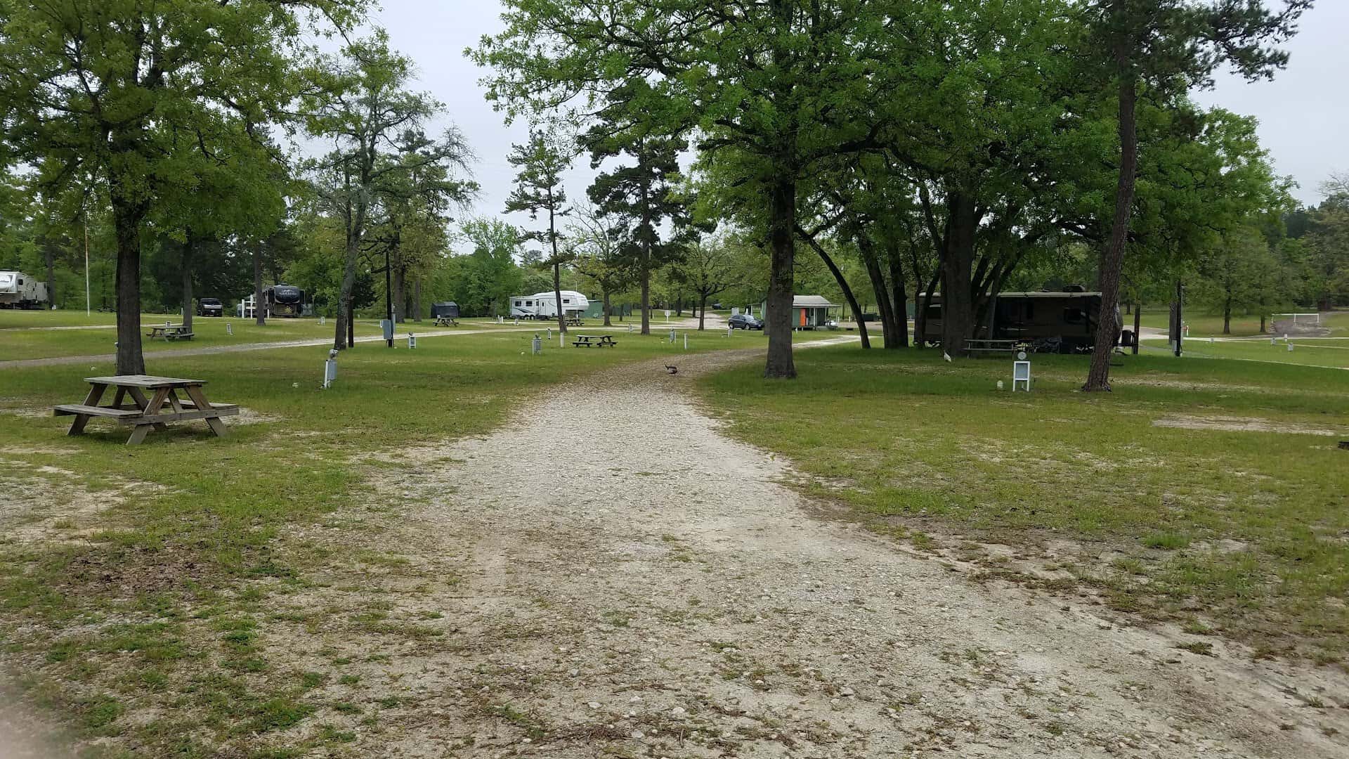 A wooded walking path and picnic area at Camp Tonkawa Springs