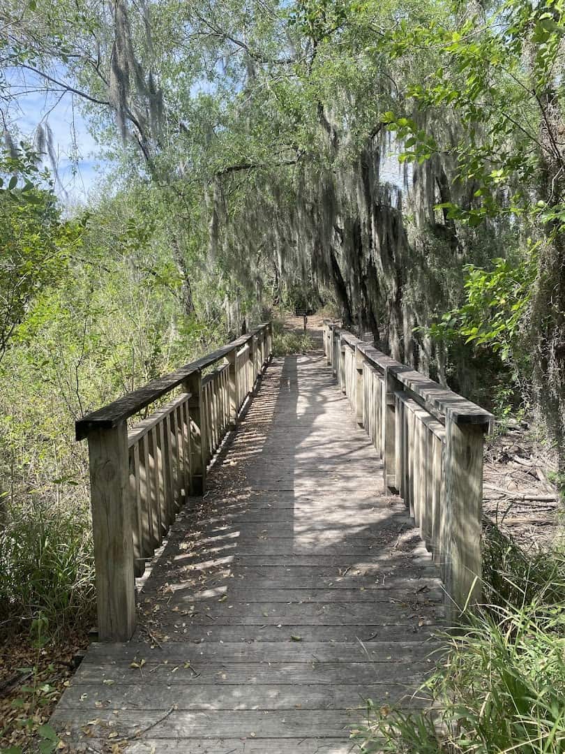 Wooden boardwalk trail through the forest at Santa Ana National Wildlife Refuge