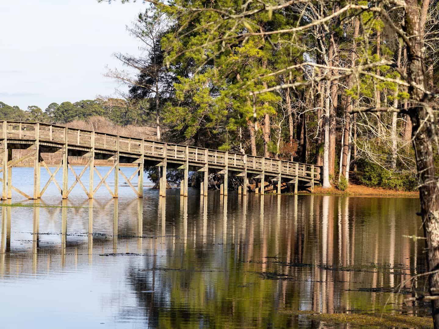 A long wooden bridge over cypress water at Martin Dies Jr State Park