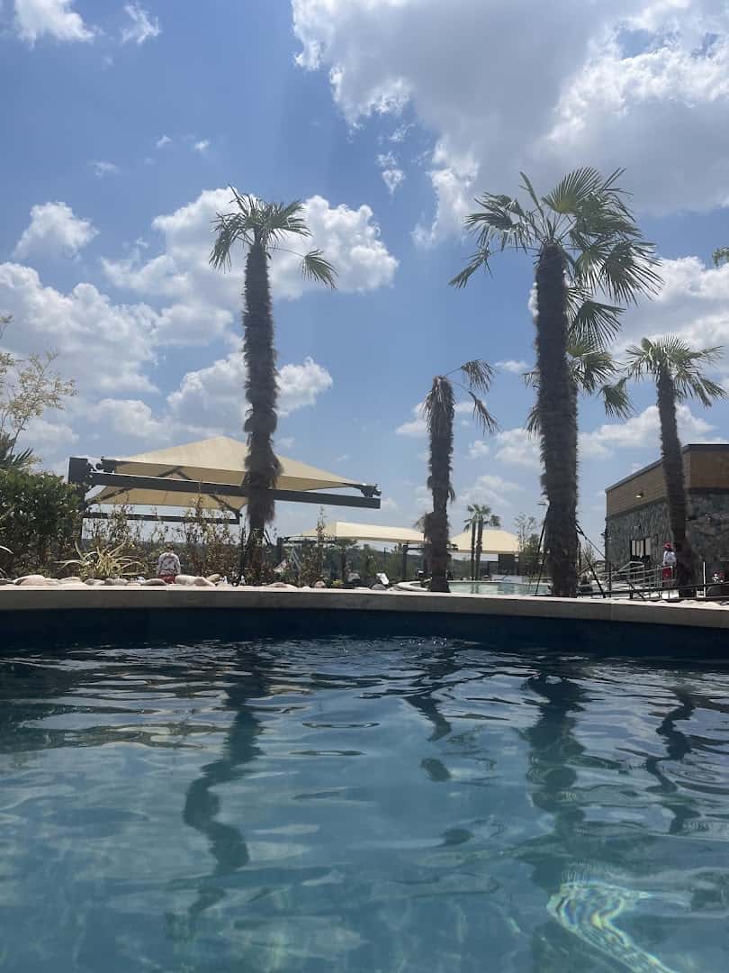 Mineral soaking pool and palm trees at WorldSprings in The Colony, Texas