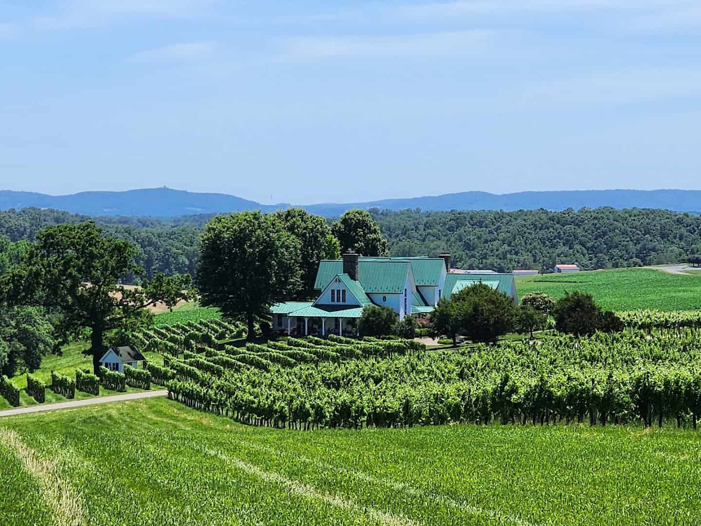 Vineyard rows and estate below the Blue Ridge in the Yadkin Valley, North Carolina