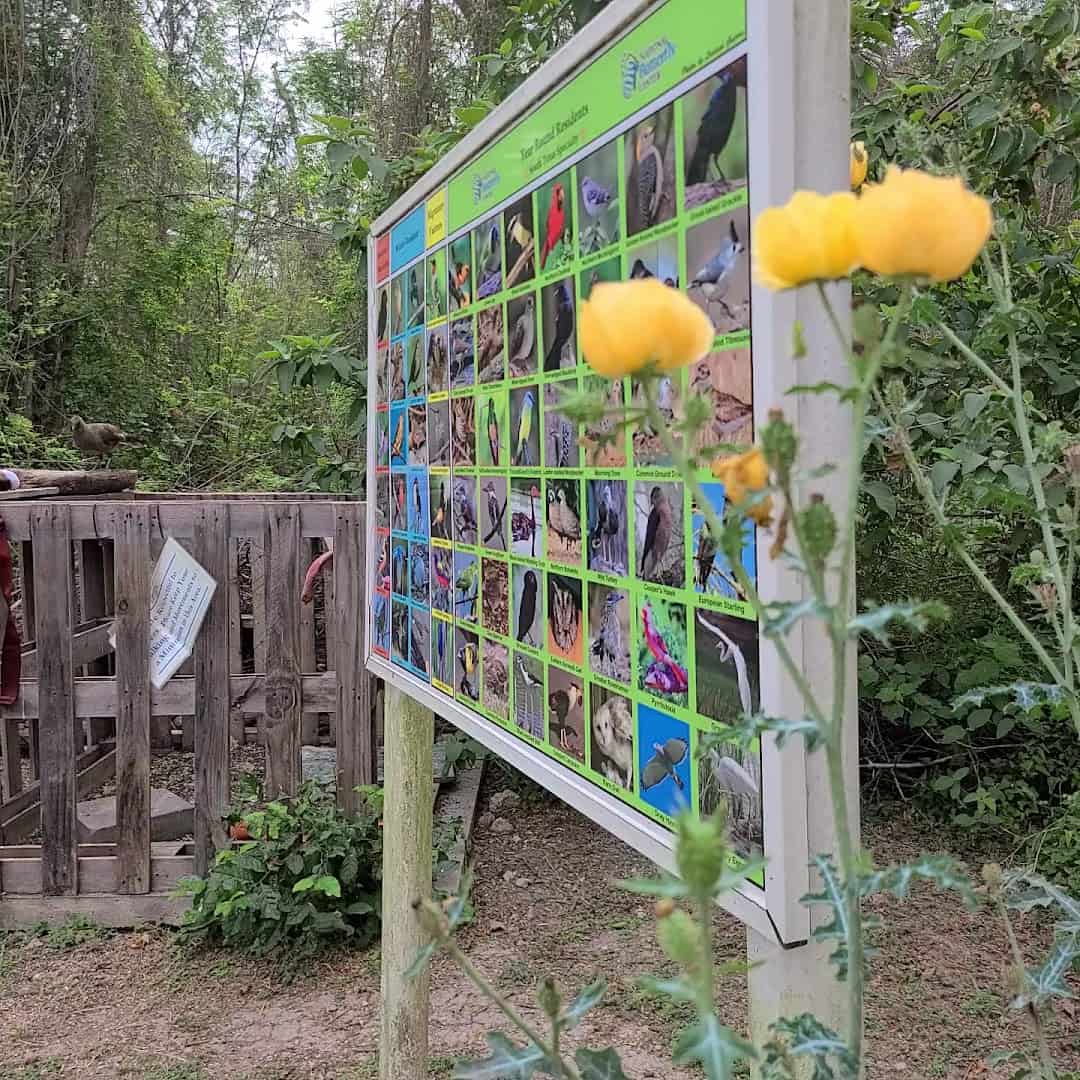 Interpretive board of resident bird species at the National Butterfly Center in Mission, Texas