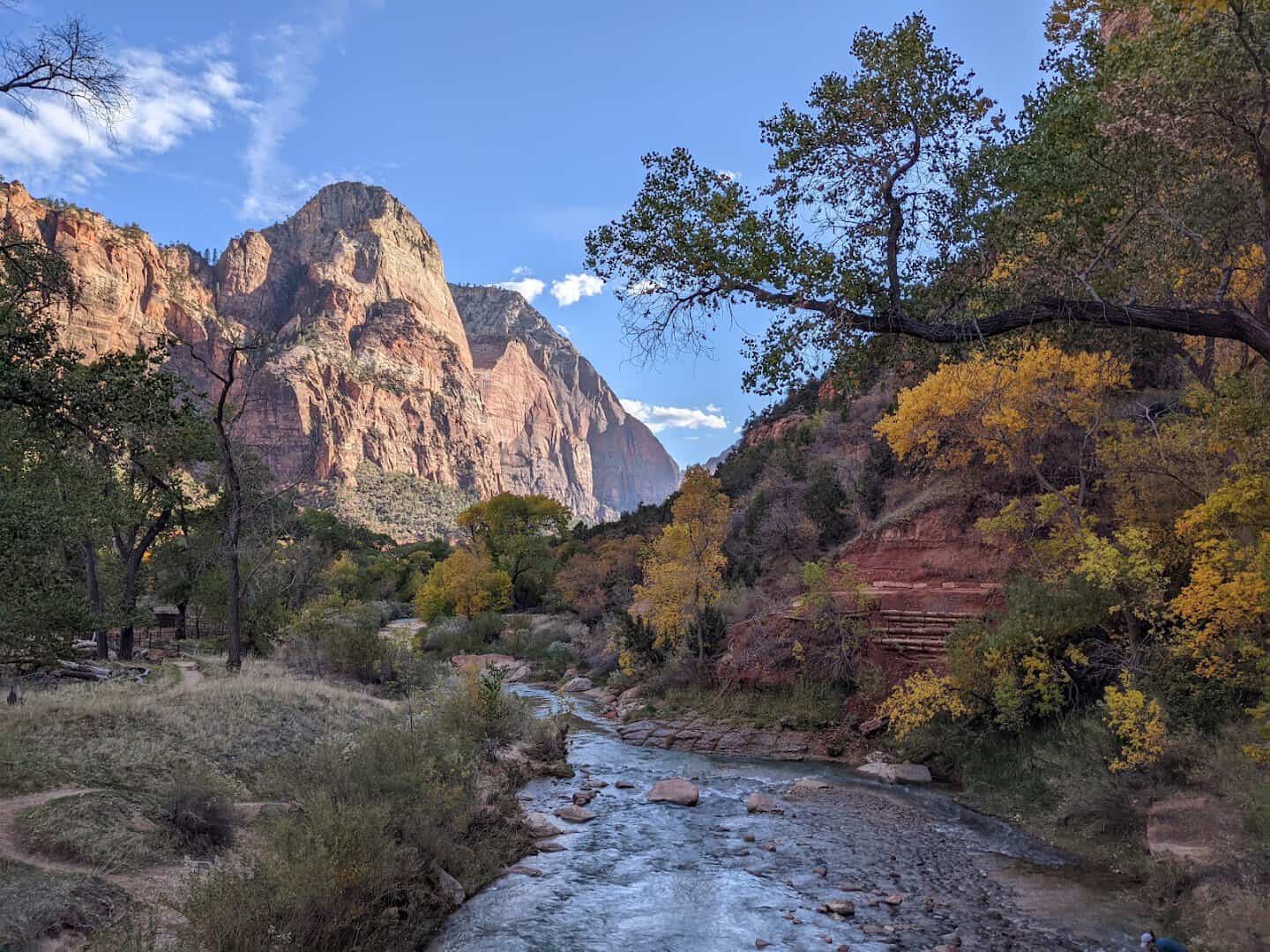 Sandstone canyon walls above the Virgin River in Zion National Park, Utah